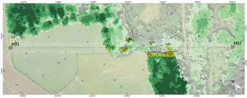 Mapa de vegetación detectada