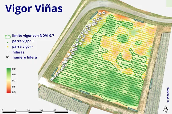 Análisis de viña 2