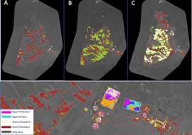 Monitoreo de  Relaves con Imágenes satelitales