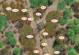 Lineas de Transmisión