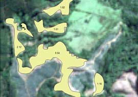 Cálculo del cambio en cobertura forestal